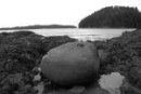 Strand Vancouver Island 2